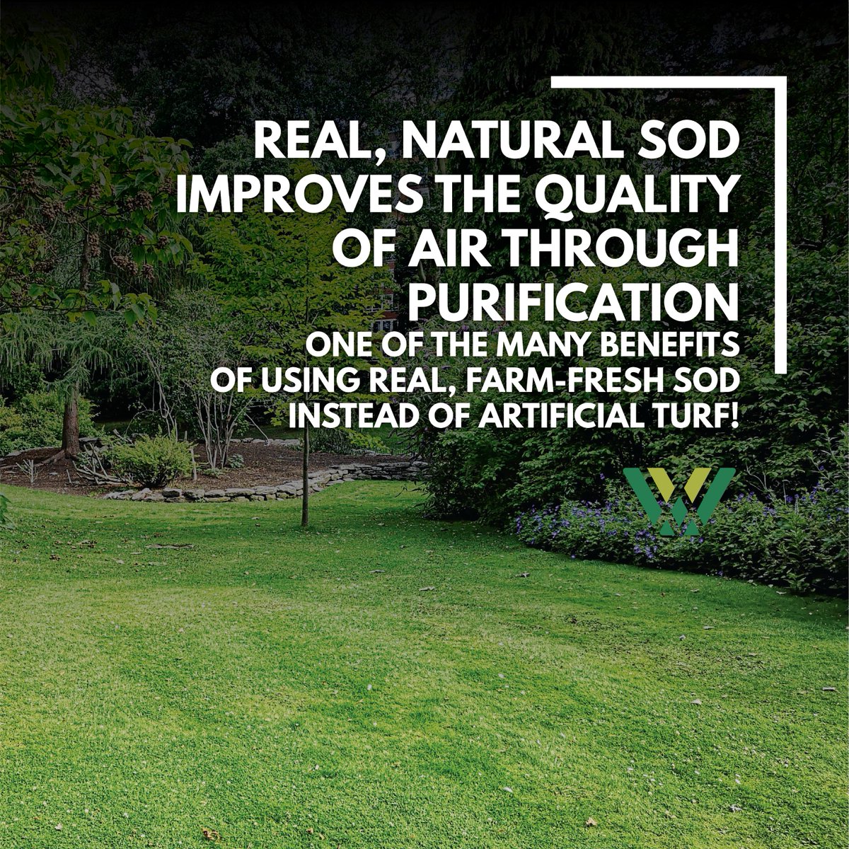 WoernerLS's tweet image. Happy #TurfTuesday! Let's talk about another difference between artificial turf and real grass. This week, it's all about air purification, just one of the many benefits of real, farm-fresh sod. 🌱