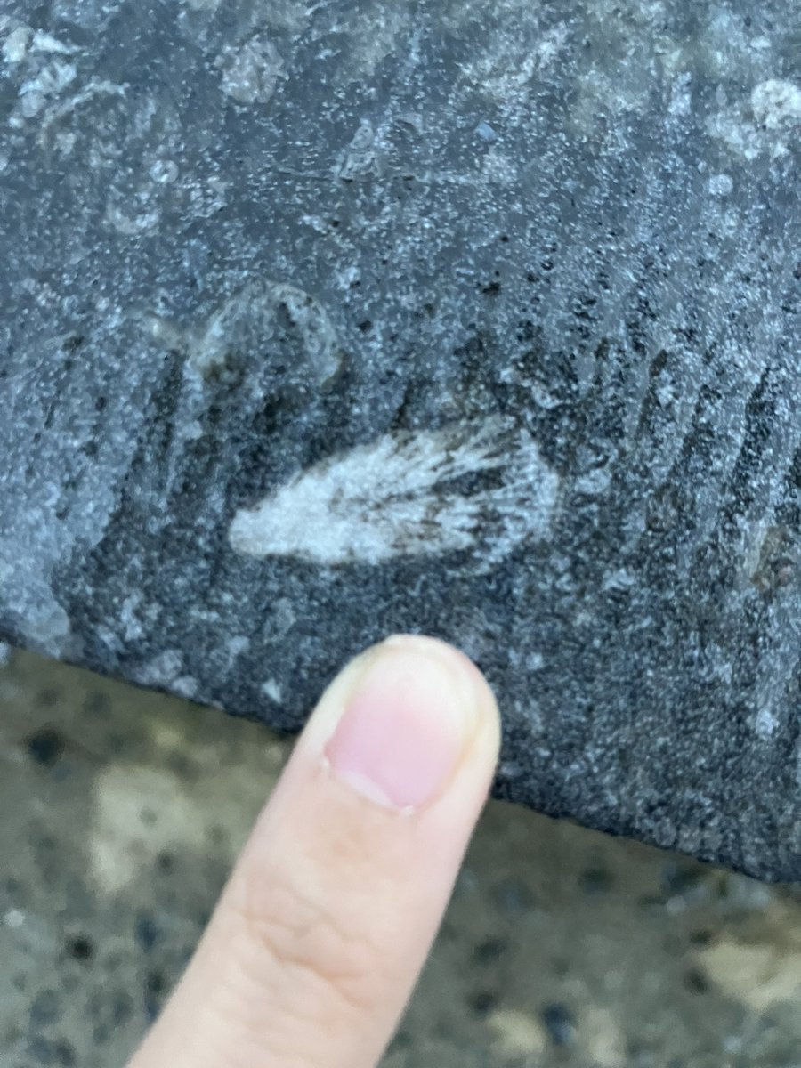 Honestly I’m having way too much fun 😂