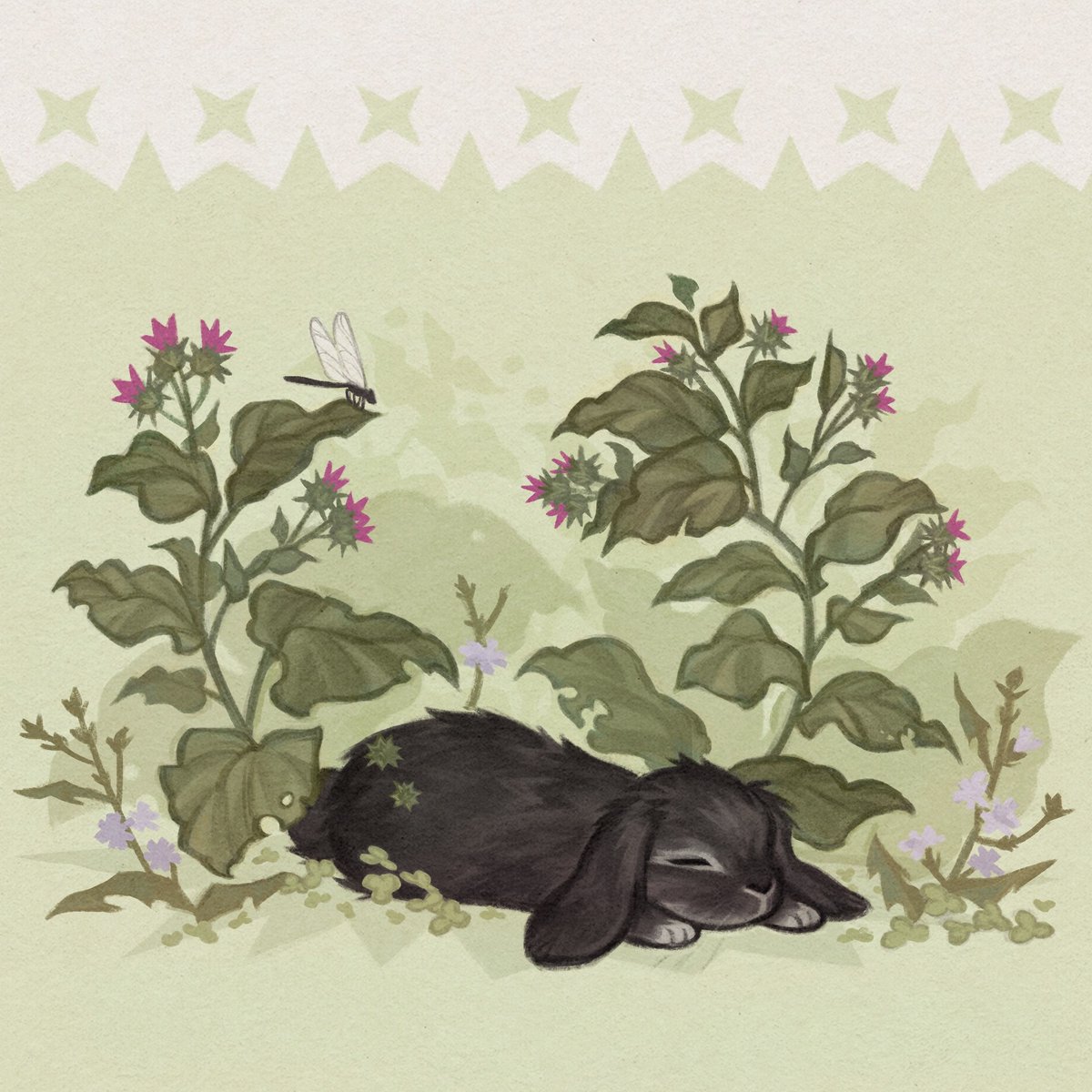 「and here are April, May, June, August 」|Junka🌞のイラスト