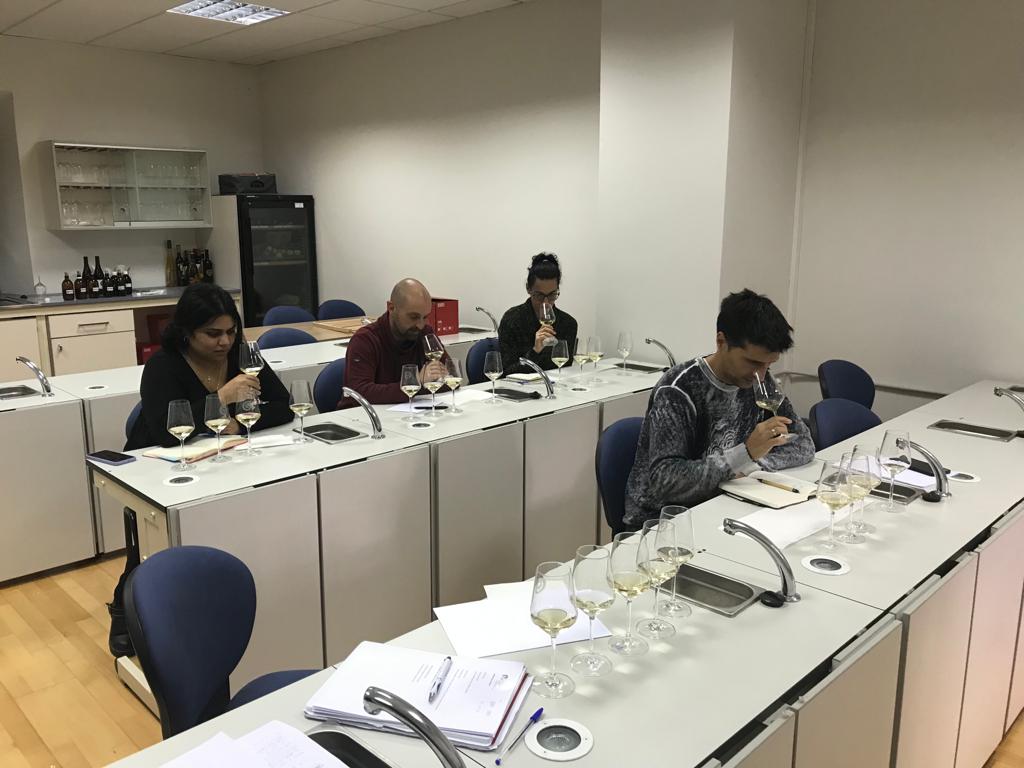 ITACYL's tweet photo. #Cata de 9 vinos elaborados con variedades resistentes a enfermedades en la Estación Enológica de #ITACyL, en el marco de los trabajos desarrollados en el proyecto #VITICOM: Alternativas para una #viticultura competitiva y sostenible.  
Primer contacto, buenas impresiones 💪🍇 https://t.co/MIvCIT9sC7