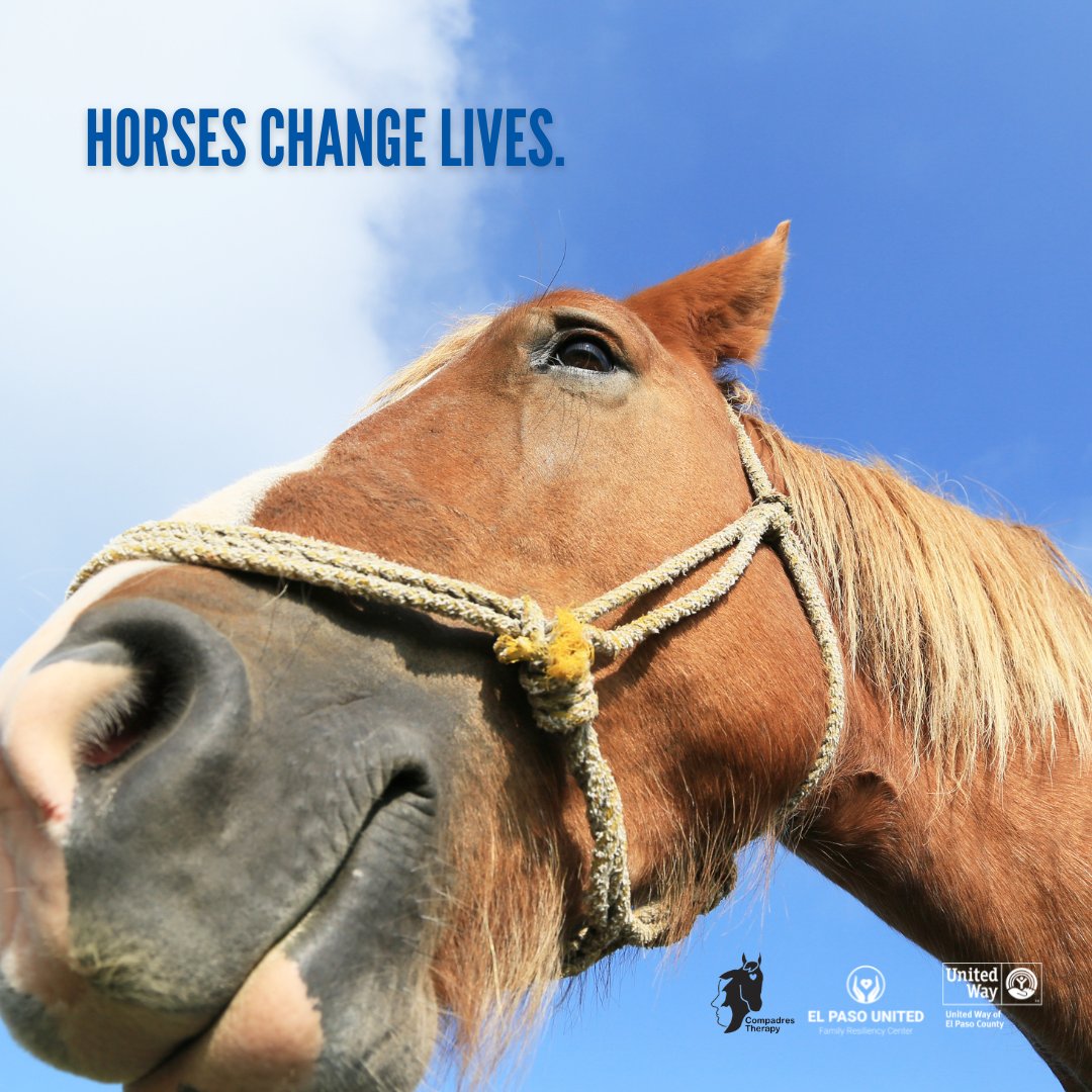 “Horses change lives. They give our young people confidence and self esteem. They provide peace and tranquility to troubled souls, they give us hope.” - Toni Robinson