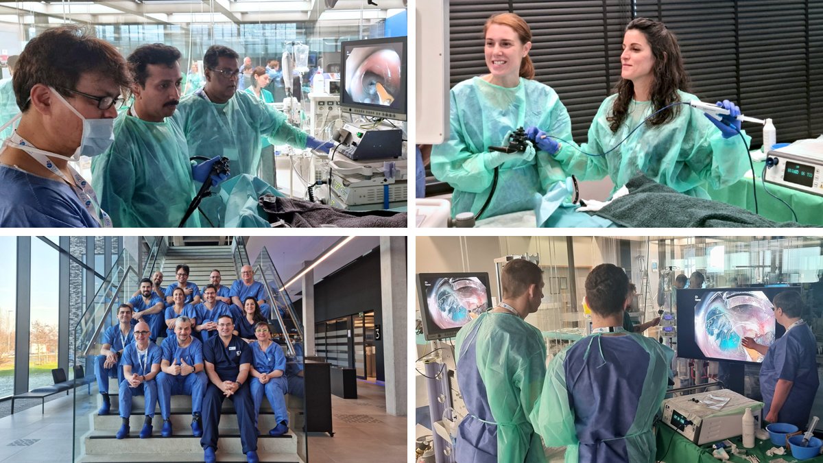 CreoEndoscopy's tweet photo. 🌍 What a way to round off the year!
 
👨‍⚕️Last weekend saw a mix of #EMR &amp; #ESD trained doctors from #France, #Belgium, #Israel, #India, #Thailand, the #UK &amp; #Germany join Creo at the fantastic Orsi Academy in Belgium to complete their 2 day #SpeedboatInject #SSD Pioneer training. https://t.co/XxCH4uRMTm