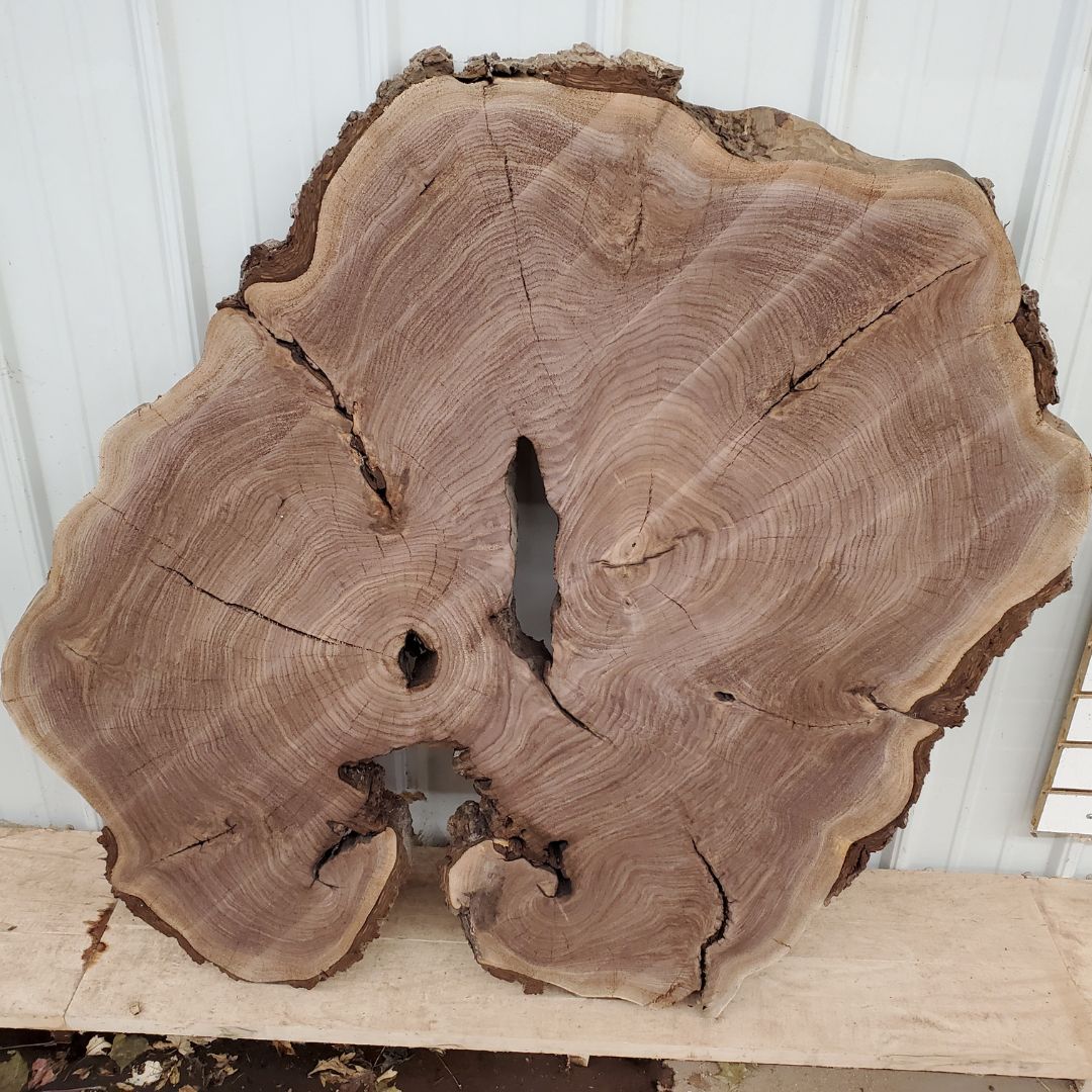 TheLumberShack1's tweet photo. Love a large live edge tree slice😍

#liveedgeslab #treeslice #treeround #walnut #blackwalnut #characterwood #figuredwood #lumber #sawmill #DIYproject #woodworking #woodshop #epoxy #resignproject #artproject #homedecor #remodel 

Shop Tree Slices ⬇️
https://t.co/WUHzQpwv8K https://t.co/ioRvs3OR3l