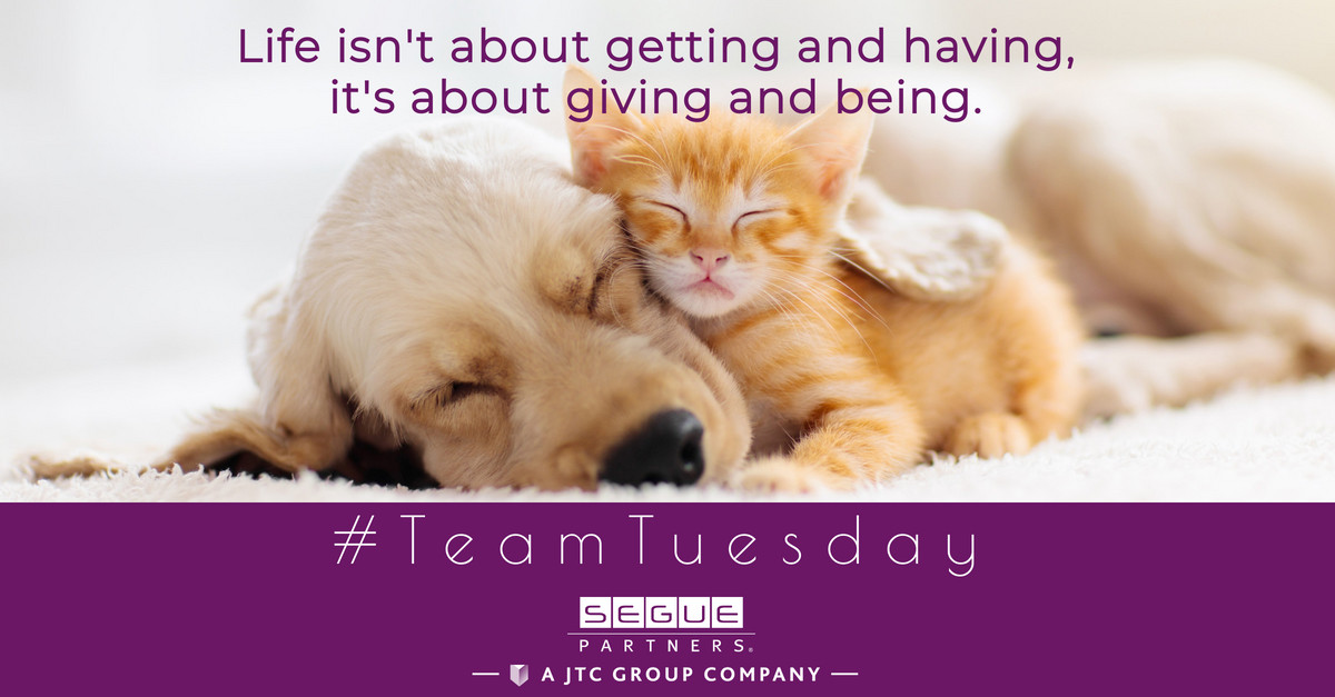 Segue Partners, a JTC Group Company tweet media