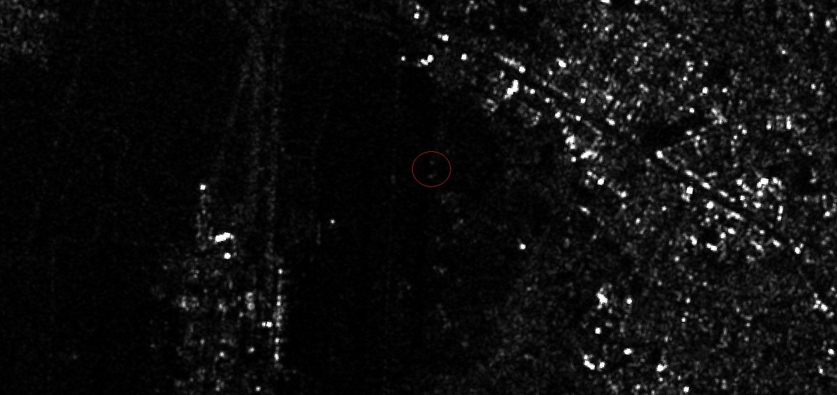 Military Intelligence tweet media