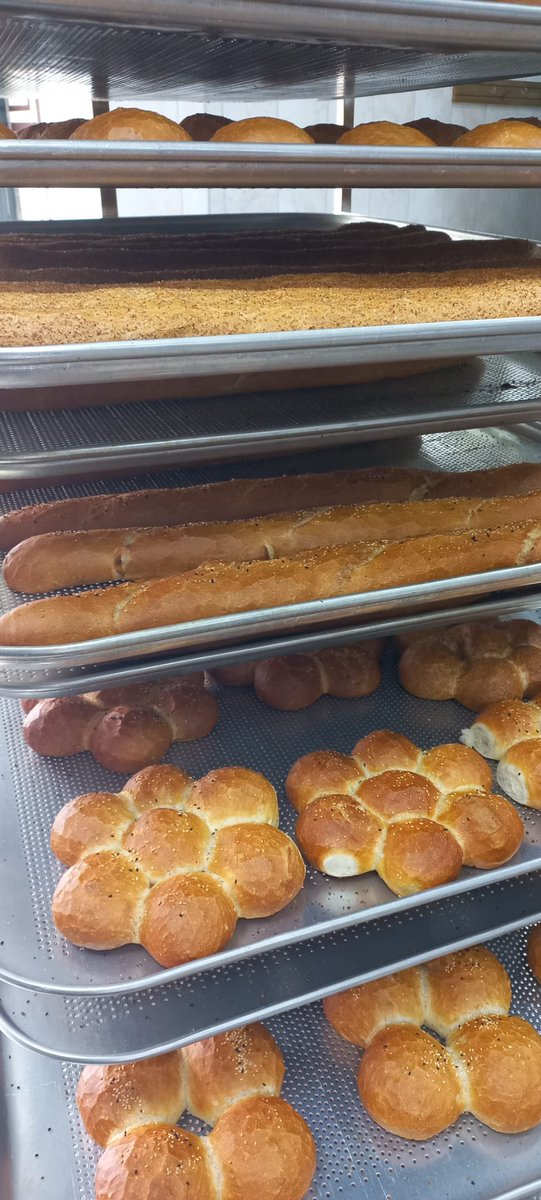 CelebiMtal's tweet photo. Milli Eğitim Bakanlığımızın teşvikleri, İl Milli Eğitim Müdürlüğümüzün destekleriyle, Okulumuz da kurulan endüstriyel ekmek üretim atölyesinde bu gün ilk ekmeklerimizi ürettik. Vatanımıza Milletimize hayırlı uğurlu olsun.  @tcmeb @MersinMEM @AdemKoca46 @yenisehirmem_33 https://t.co/kpW0BnTRNu
