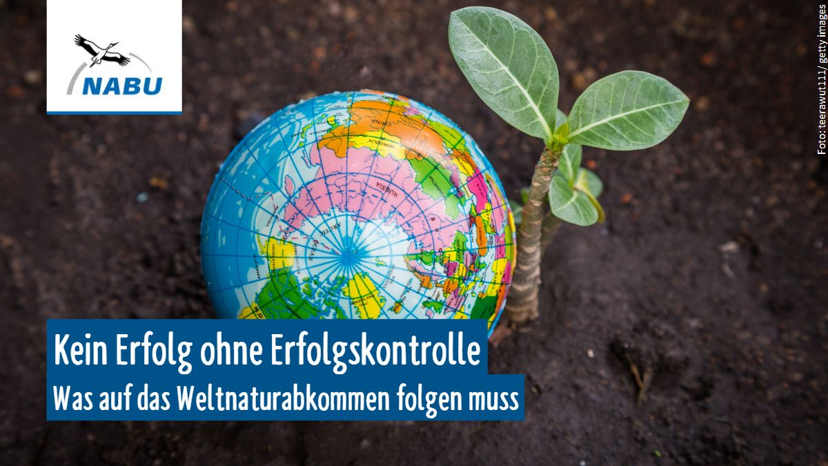 🌍Hurra, die Welt hat ein #Weltnaturabkommen! Darüber freuen wir uns als NABU. Aber das, was in #Montreal #COP15 beschlossen wurde, ist uns an vielen Stellen nicht konkret genug. Den globalen Zielen müssen jetzt nationale Verpflichtungen folgen! 1/2