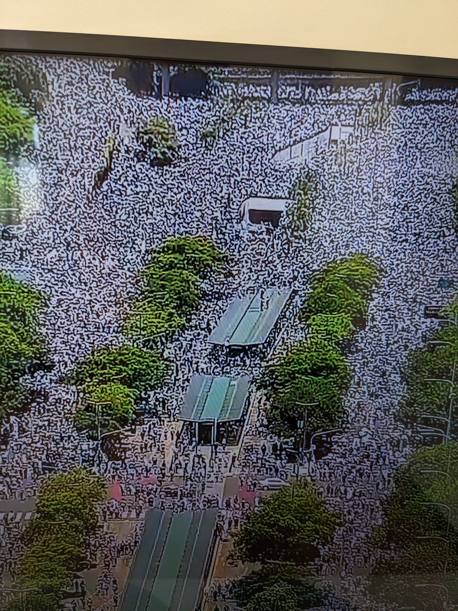 Valeria Kleiman @valeklei@mstdn.social tweet media