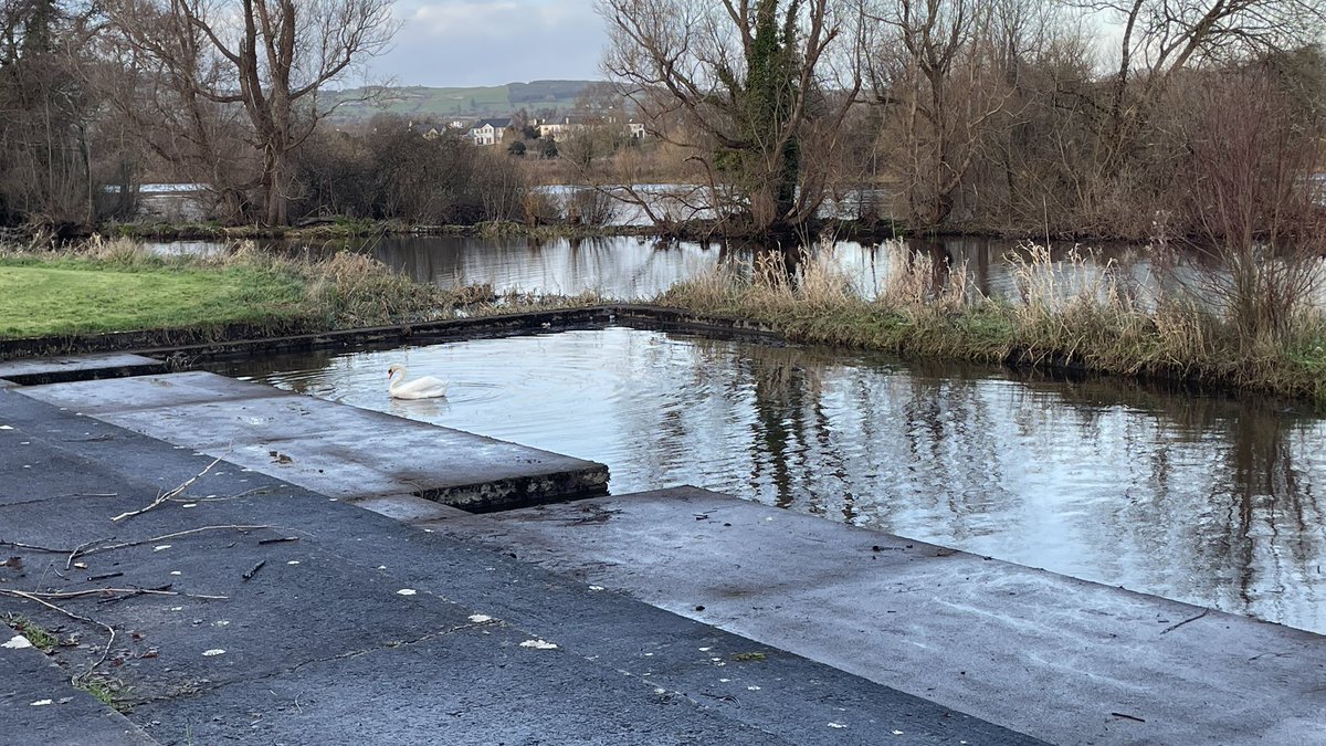 sorcha_circa's tweet photo. #RiverShannon #Limerick #CorballyBaths https://t.co/kJnLVepjJj