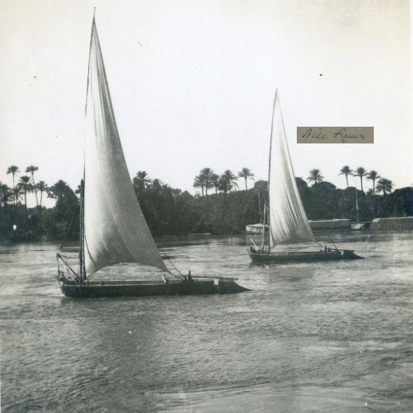 Fluid Radio tweet media