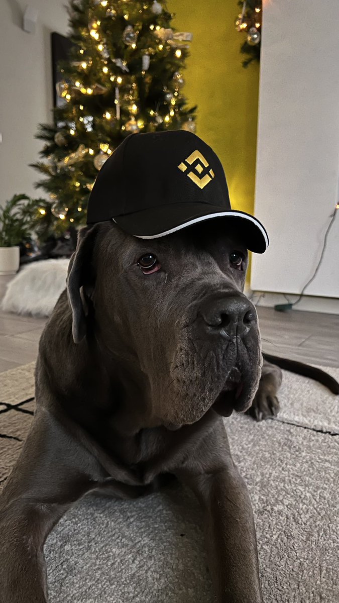 BinanceItalian's tweet photo. #BinanceChristmas https://t.co/9rtHl5z1pS