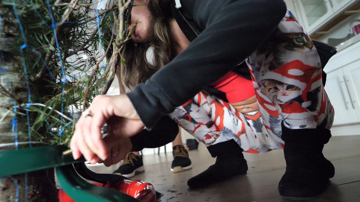 Bryce Adams 💋 on Twitter "POV screwing the Christmas tree into place! 🎄"