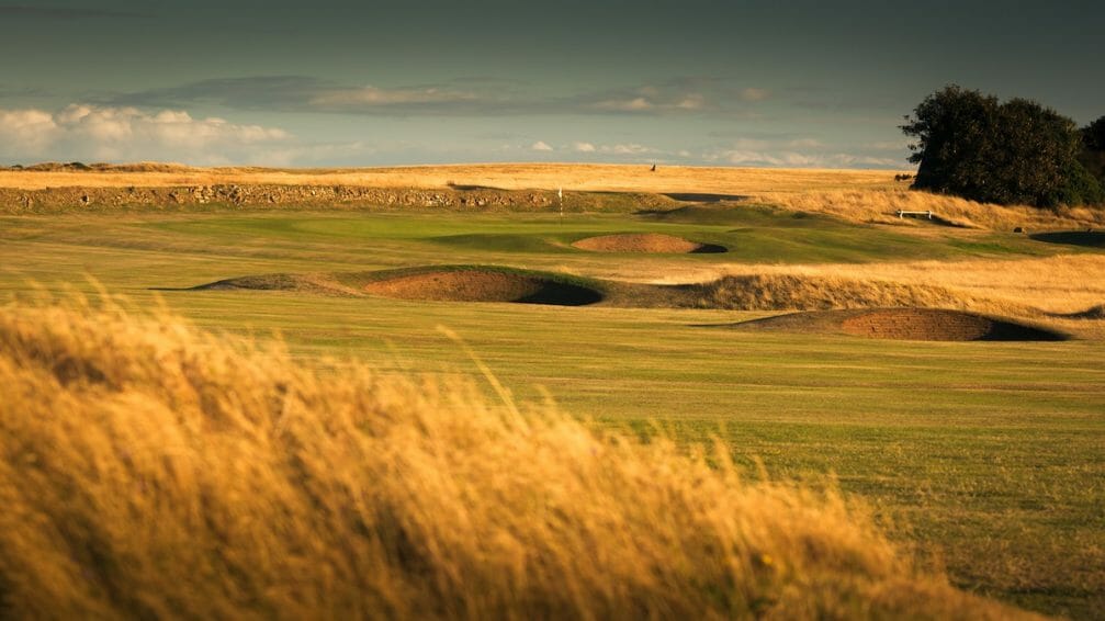 CastletownGolfLinks tweet media