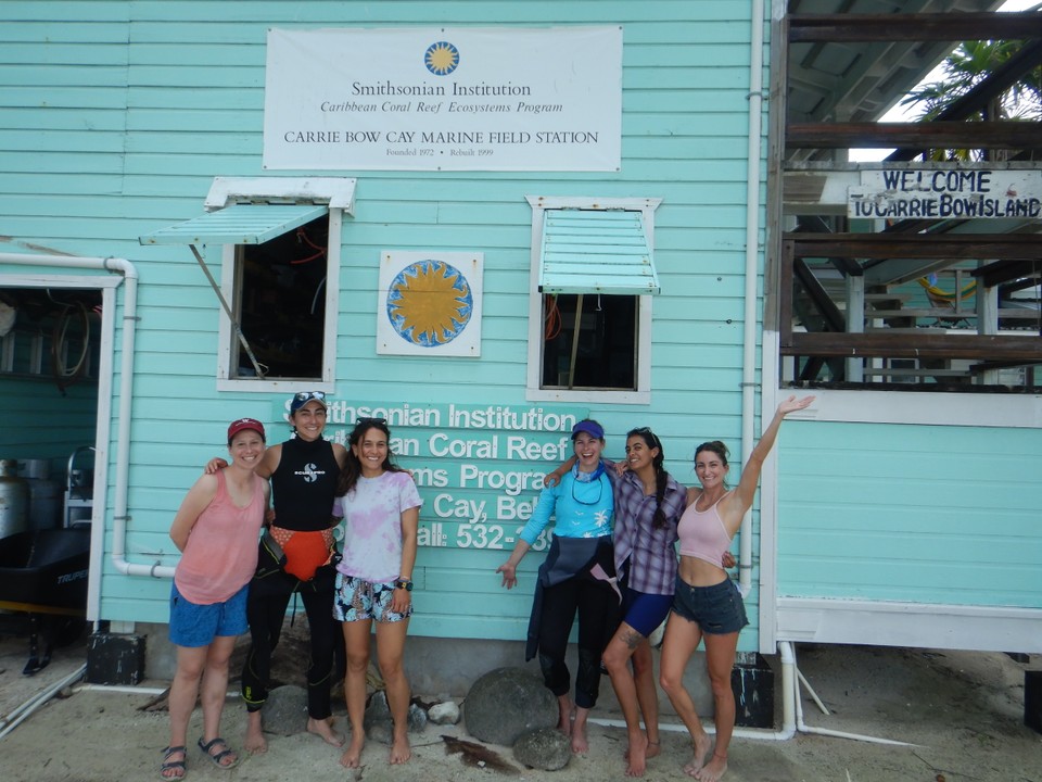 The 2022 TMON-MarineGEO field campaign is a wrap! This amazing team worked their fins off surveying the coastal ecosystems surrounding the Smithsonian marine station at Carrie Bow Cay, Belize. In two weeks, they completed....(con't.):