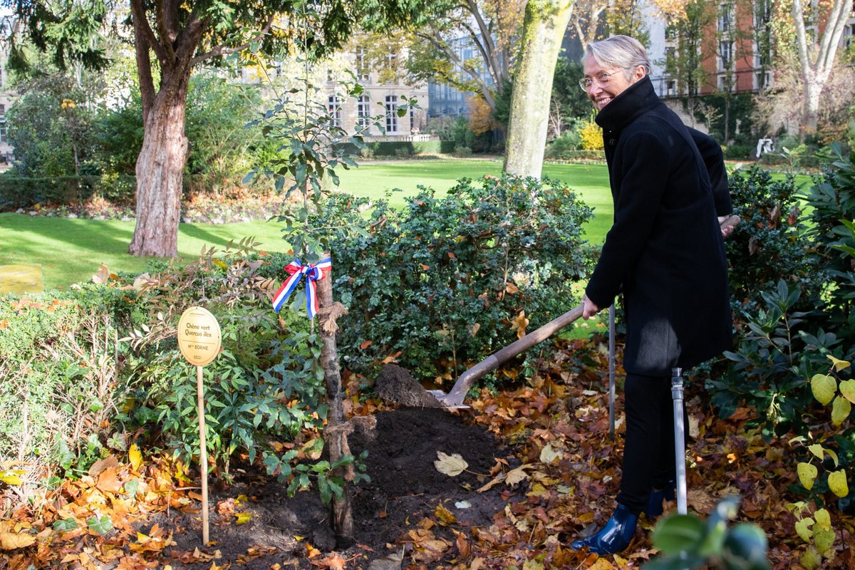 [Matignon : la boucle est bouclée !]
Depuis 2020, avec #trio Greenwishes nous collectons quotidiennement les déchets alimentaires des services du Premier #Ministre. Cette année, Matignon a utilisé notre #compost  pour planter l'arbre d'<a href="/Elisabeth_Borne/">Élisabeth BORNE</a> ! 🌳