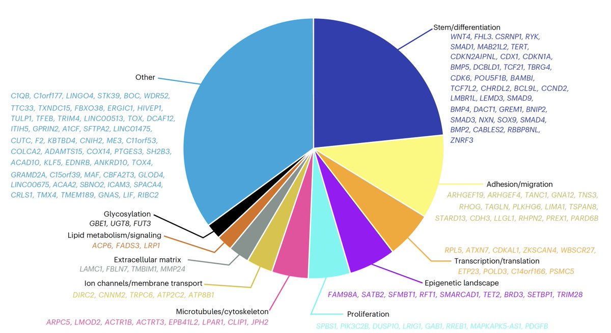 EricTopol's tweet photo. We just learned a lot more on the genomics of colon cancer. A multi-omics approach in over 100,000 cases shows association cumulatively up to 73% of familial risk @NatureGenet @fredhutch and global collaborators  
https://t.co/mguJS3KpAj https://t.co/KxwMkFL8nU