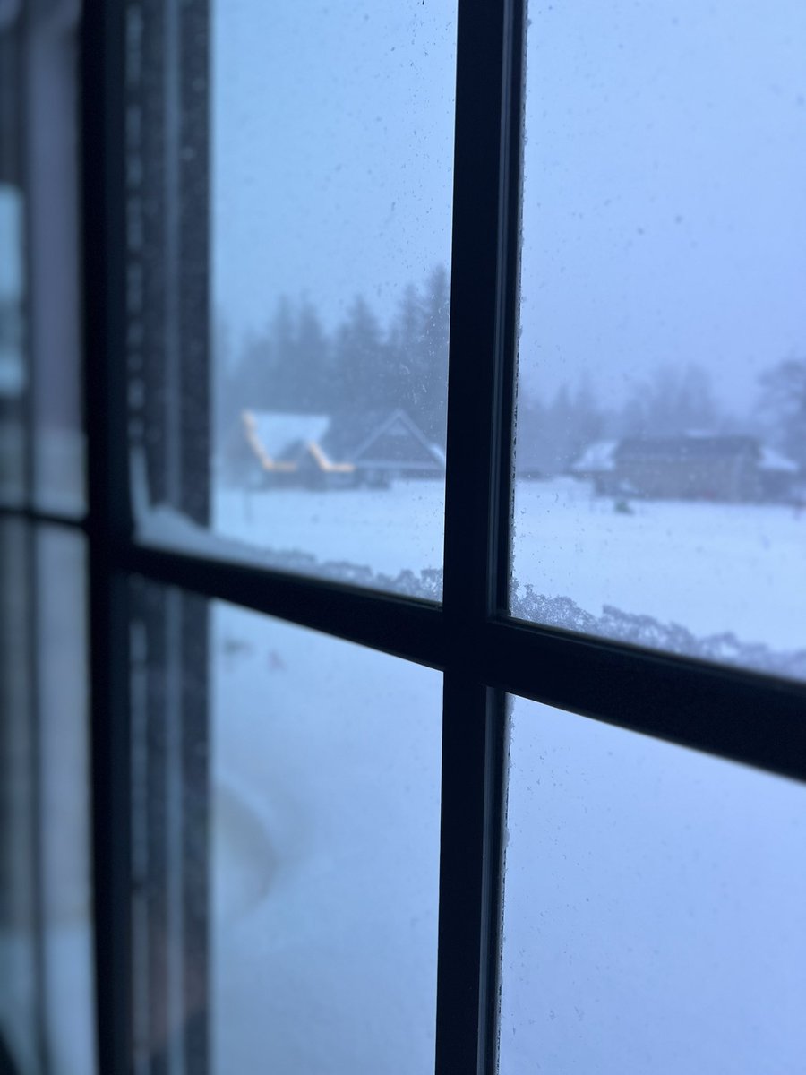 The office is closed due to weather!
Please feel free to email us directly if there’s anything we can help with!
Stay warm, friends🤍