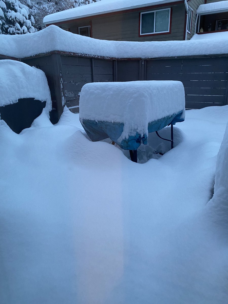 Bette Shippam tweet media