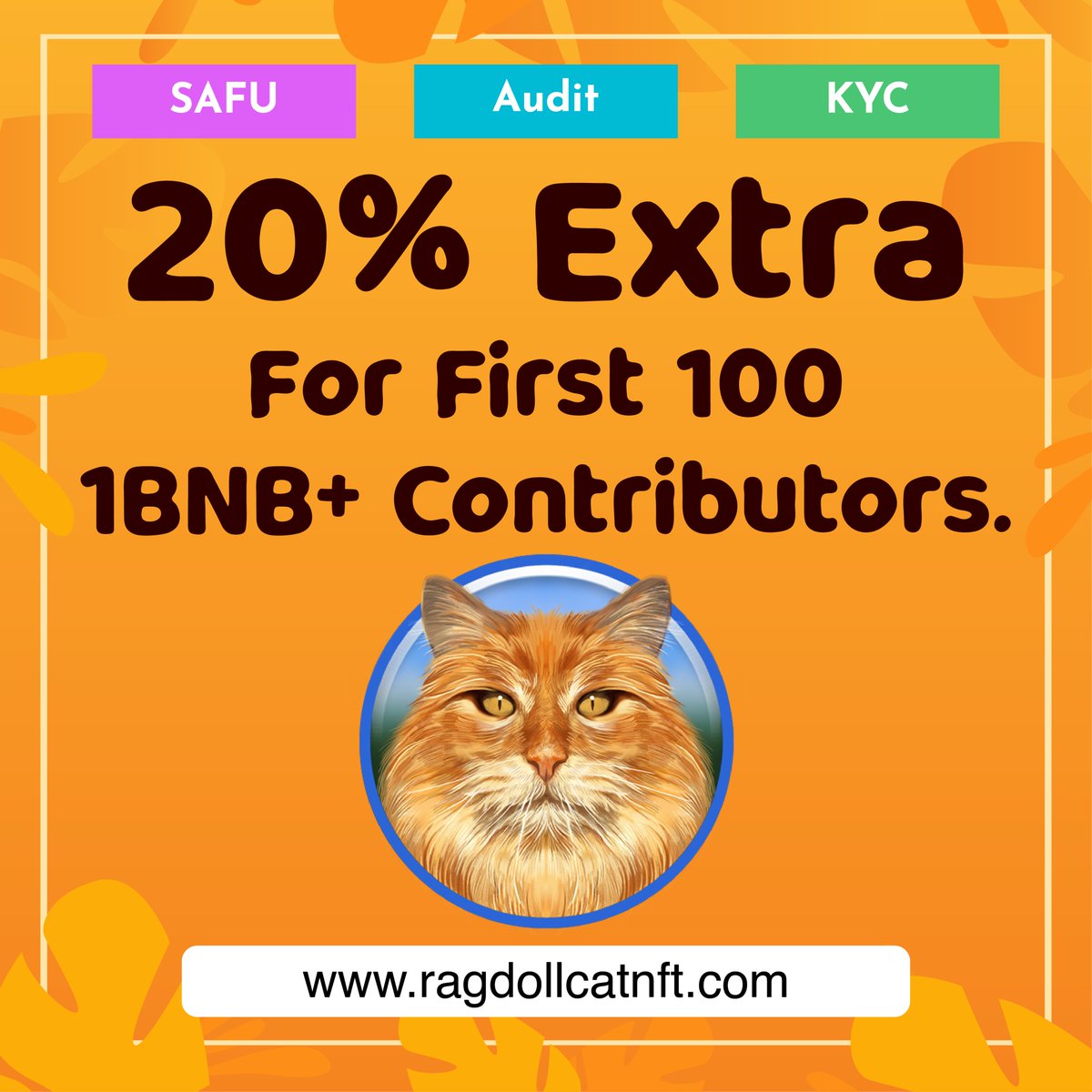 RagdollCat NFT tweet media