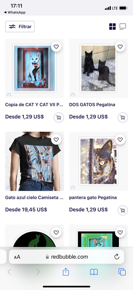 Cat universe (@catuniverse9cat) on Twitter photo 