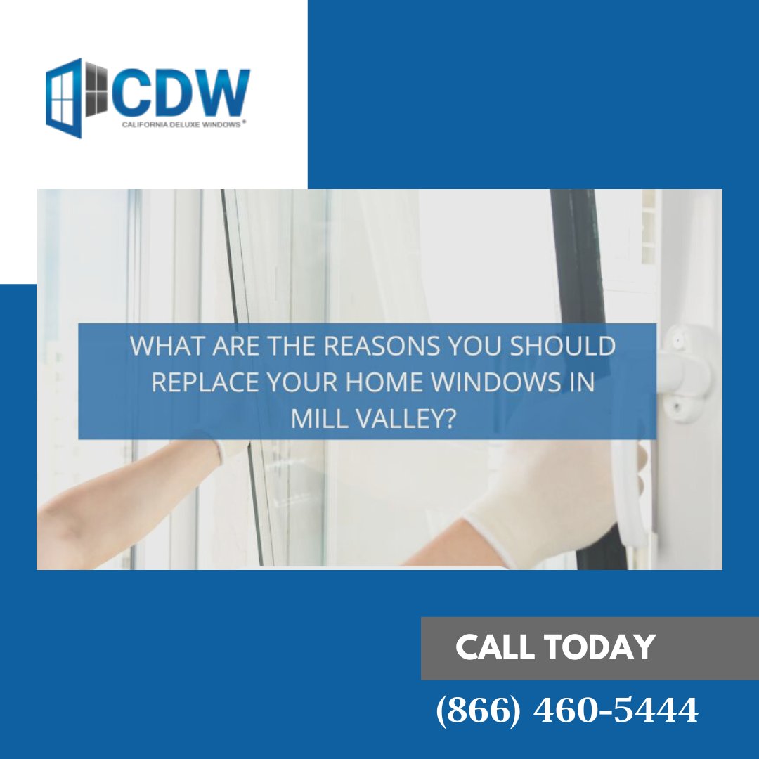 California Deluxe Windows tweet media