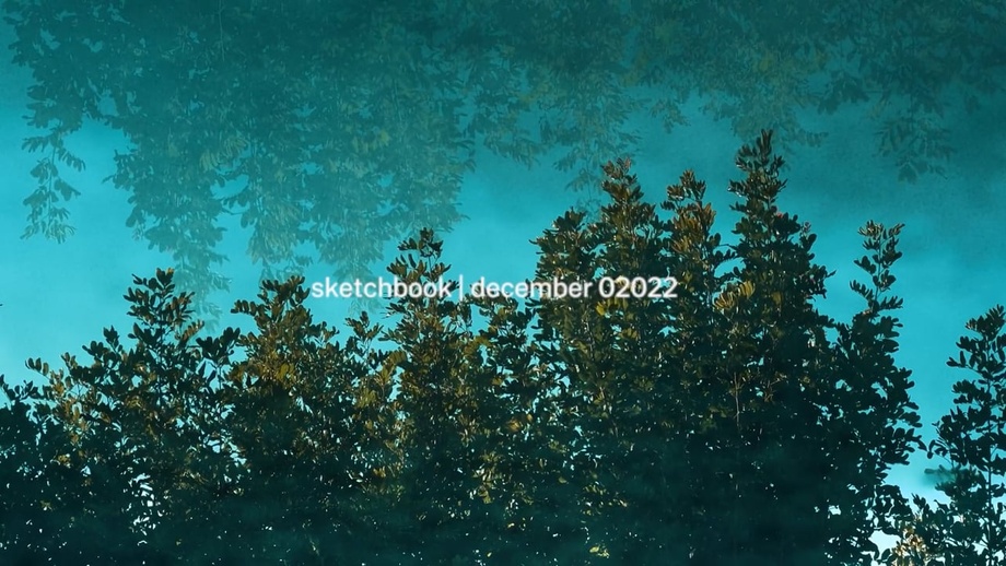 Last little sketch thing of 2022 is now live on my #Patreon. These #sketches which consist of shots captured each month using whatever camera I had at the time (usually iPhone 13) then lightly edited are among the purest things in my life. Thx patrons. patreon.com/posts/76168282…