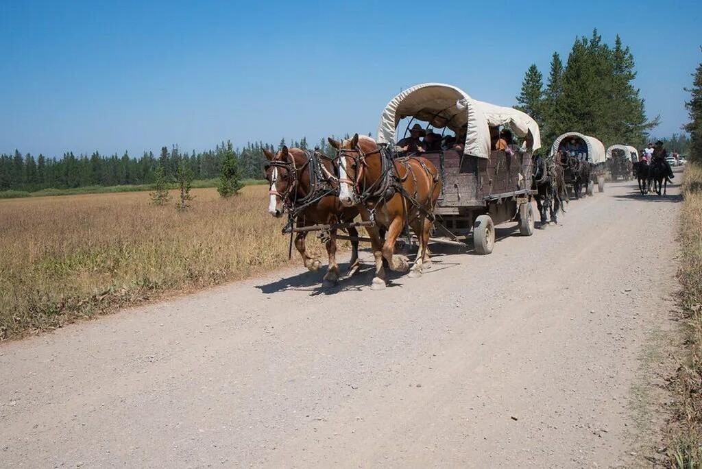 See Jackson Hole tweet media