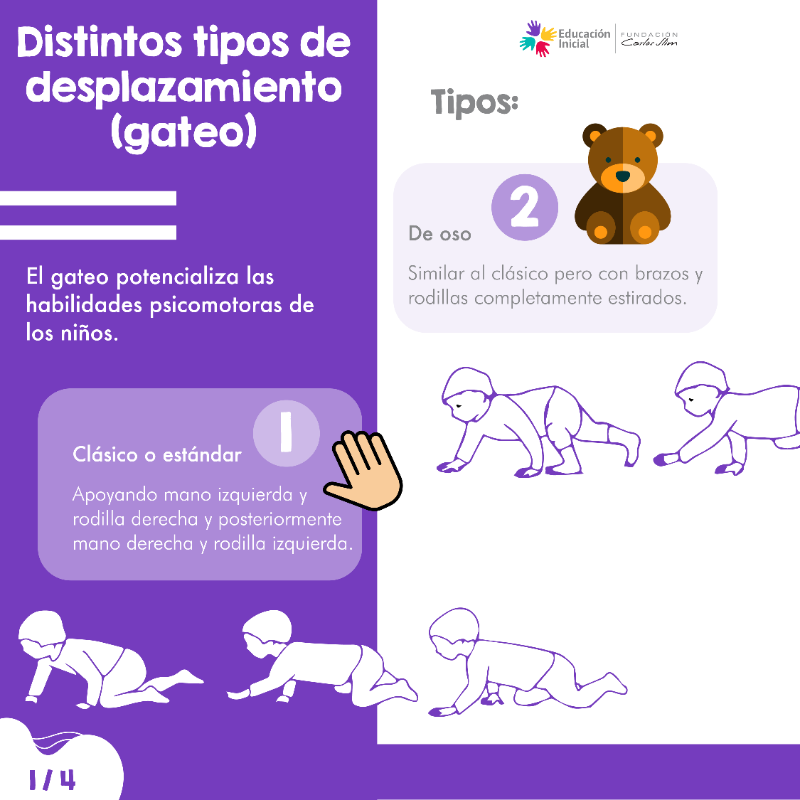 EduInicialFCS's tweet photo. El gateo es la primera forma que utiliza el ser humano para desplazarse y conocer su entorno. ¿Sabías que existen diferentes formas de hacerlo?
Te dejamos la siguiente información.
#gateo #gatear https://t.co/N5rUUsX5rD