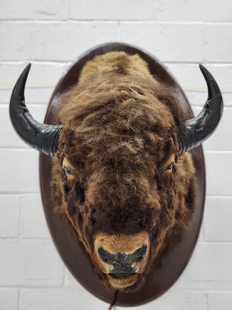 <a href="/TeamAAcres/">Team A Acres</a> <a href="/RCMPCurlingClub/">RCMP Curling Club</a> <a href="/ONCurlCouncil/">ON Curling Council</a> AWESOME
WOOOO HOOOO !
Gaston <a href="/Rcmpcc_Bison/">Gaston</a>