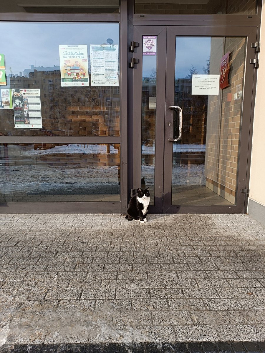araszperskibard's tweet photo. Kolejka do biblioteki była dzisiaj spora https://t.co/hRtJX9rhwh
