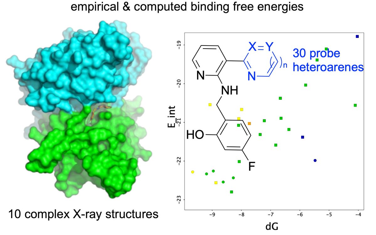 Thrilled to share a chemrxiv describing our systematic study of heteroarene-aryl stacking with 30 molecular glues for caspase-6. Our first collaborative work with Steven Wheeler @WheelerCompChem
doi.org/10.26434/chemr…