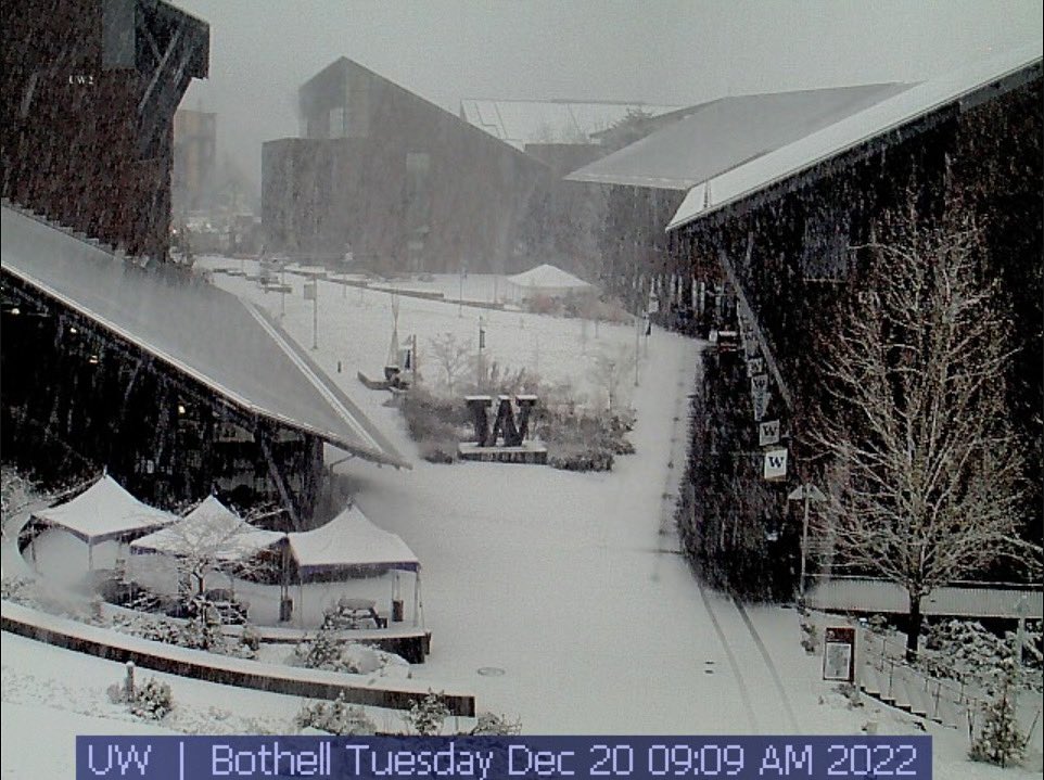 UWBothell's tweet image. Snow day! ❄️ Campus services are remote today, 12/20, so contact units before trekking to campus. ☃️ #uwbothell