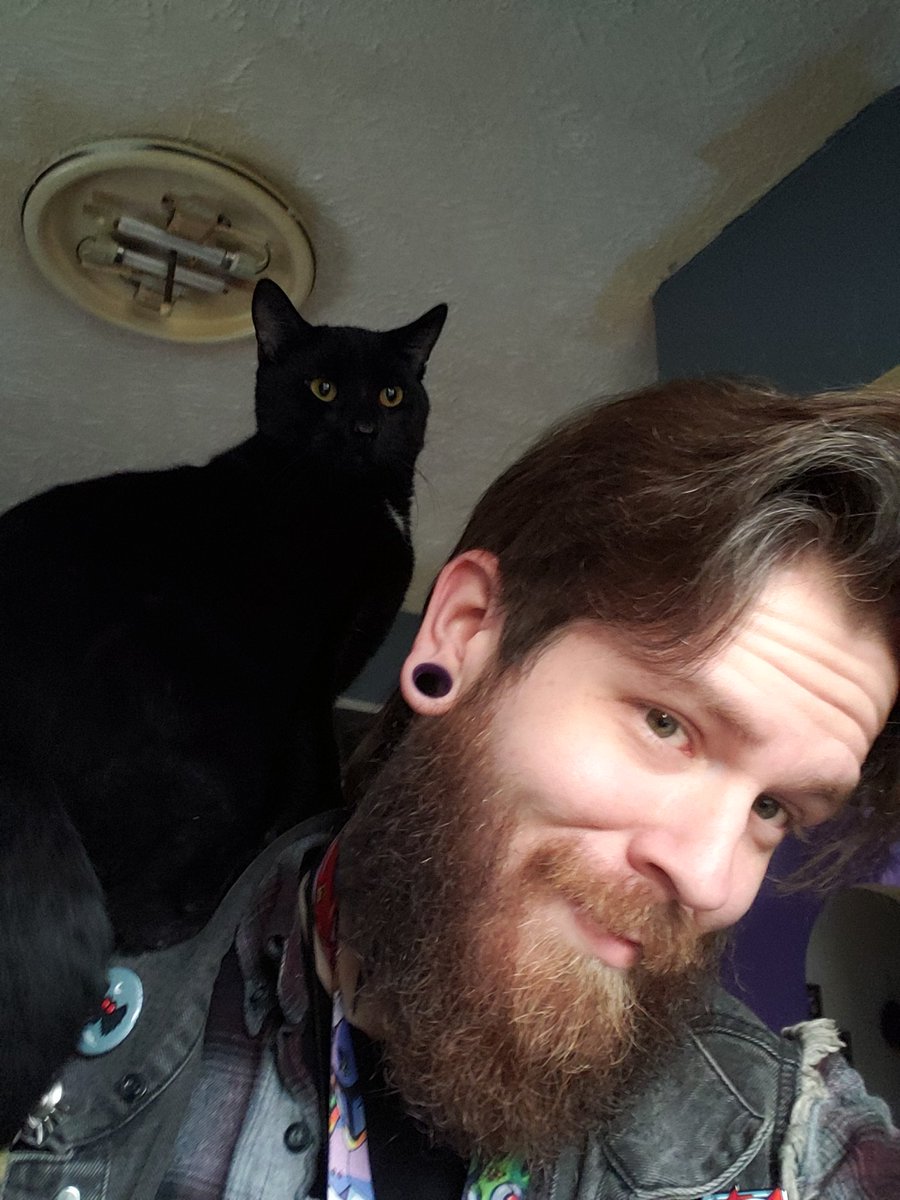 MistaGraveyard's tweet photo. Have a good day everyone!
#Parrotcat https://t.co/eSt4bAT8L0