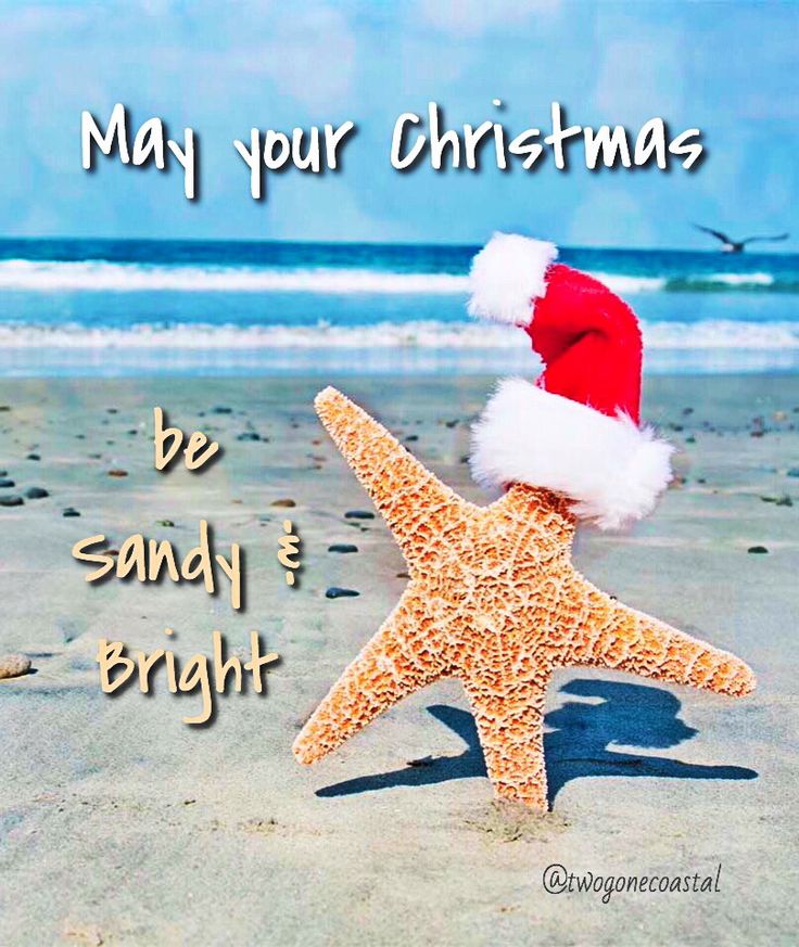 fenwickusa's tweet photo. Happy holidays from southern Delaware ❤️ #fide #delawarebeaches https://t.co/A7FmEVHYza