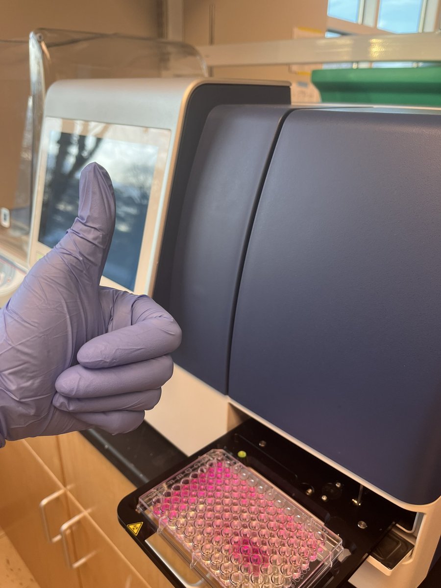 Annie Schatz, Ph.D. (She/Her) (@schatzofscience) on Twitter photo Just finished the last assay plate of my dissertation 🙌🥳 Not a bad way to head into the holidays. Happy holidays everyone! Just finished the last assay plate of my dissertation 🙌🥳 Not a bad way to head into the holidays. Happy holidays everyone!