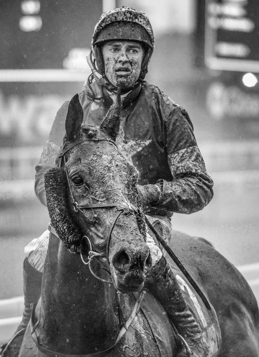 The Wednesday of the festival last year was one of the wettest days that I have ever spent on a racecourse. This image represents the conditions that day and is also an appreciation of both horses and jockeys in this sport. Alpha Des Obeaux and @jody_mcgarvey.