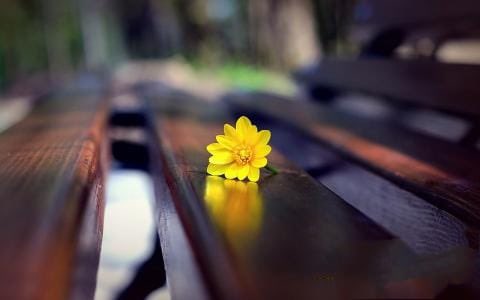 binth_imthiyas_'s tweet photo. சிந்திக்கின்ற எதையும் எழுதிவிட முடியாது....✍🏻❤️ https://t.co/dH7txEQ2Cj