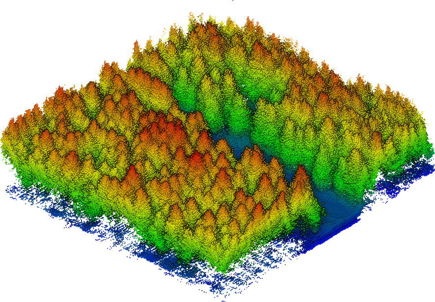 Ingo Ensminger tweet media