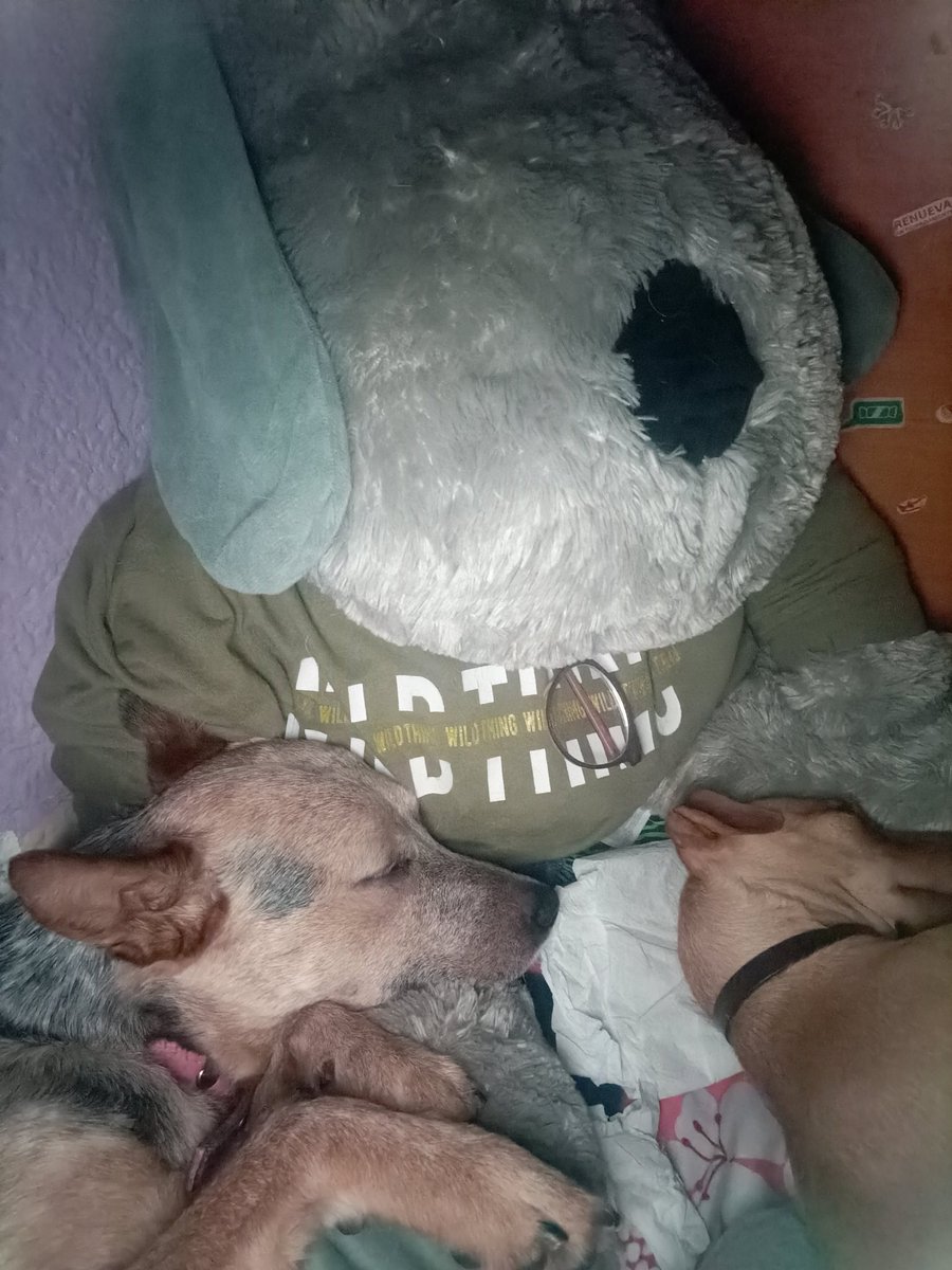 Berecasting's tweet image. 