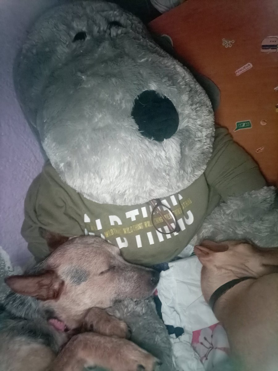 Berecasting's tweet image. 