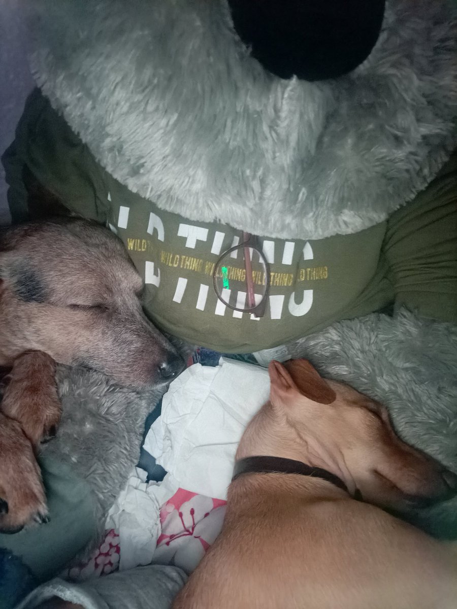 Berecasting's tweet image. 