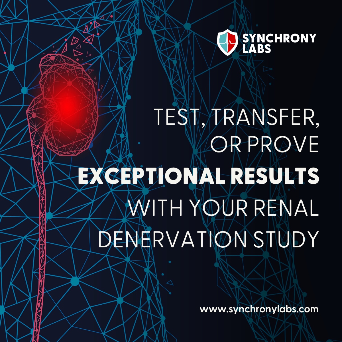 Are you looking for the most efficient way to test, transfer, or prove exceptional results with your renal denervation study? For all your specialized #preclinical study needs, like renal denervation, contact Synchrony Labs today.
#synchronylabs
#renaldenervation