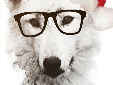 St. Paul's Alumni tweet media