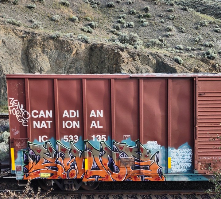 GraffitiExpress's tweet photo. sinoe
#kamloops #train #graffiti #art 
#sinoe https://t.co/5xXnirbf3d
