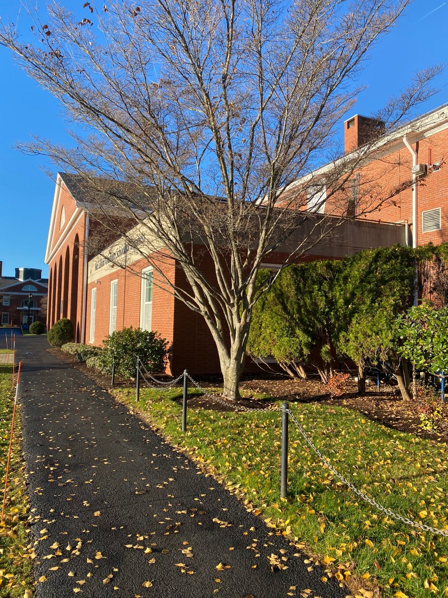 bentleygrad's tweet photo. Fall is giving way to winter at Bentley University. Wish everyone is having a fantastic winter break now!
#bentleyU
#winter
#sunset
##festivetime
#changingseasons
#campuslife
#campusvibes
#winterbeauty
#decemberview
#beautifulcampus
#campusview
#studentlife
#libraryview https://t.co/sasyaIQP1G