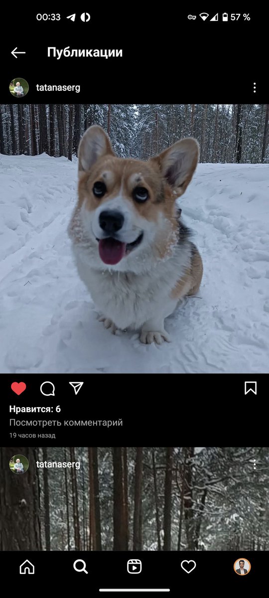 Дегенератник tweet media