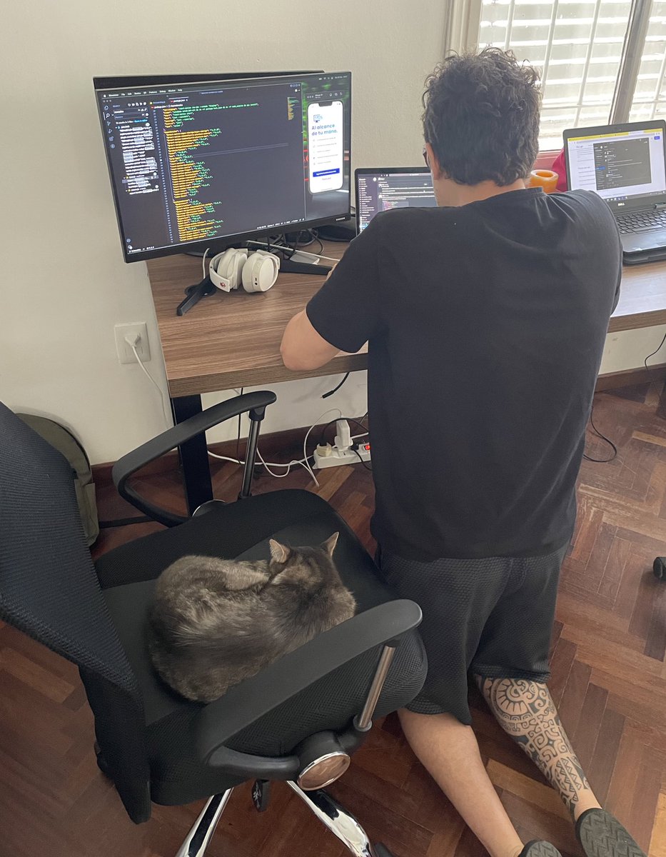 Mi silla por la gorda