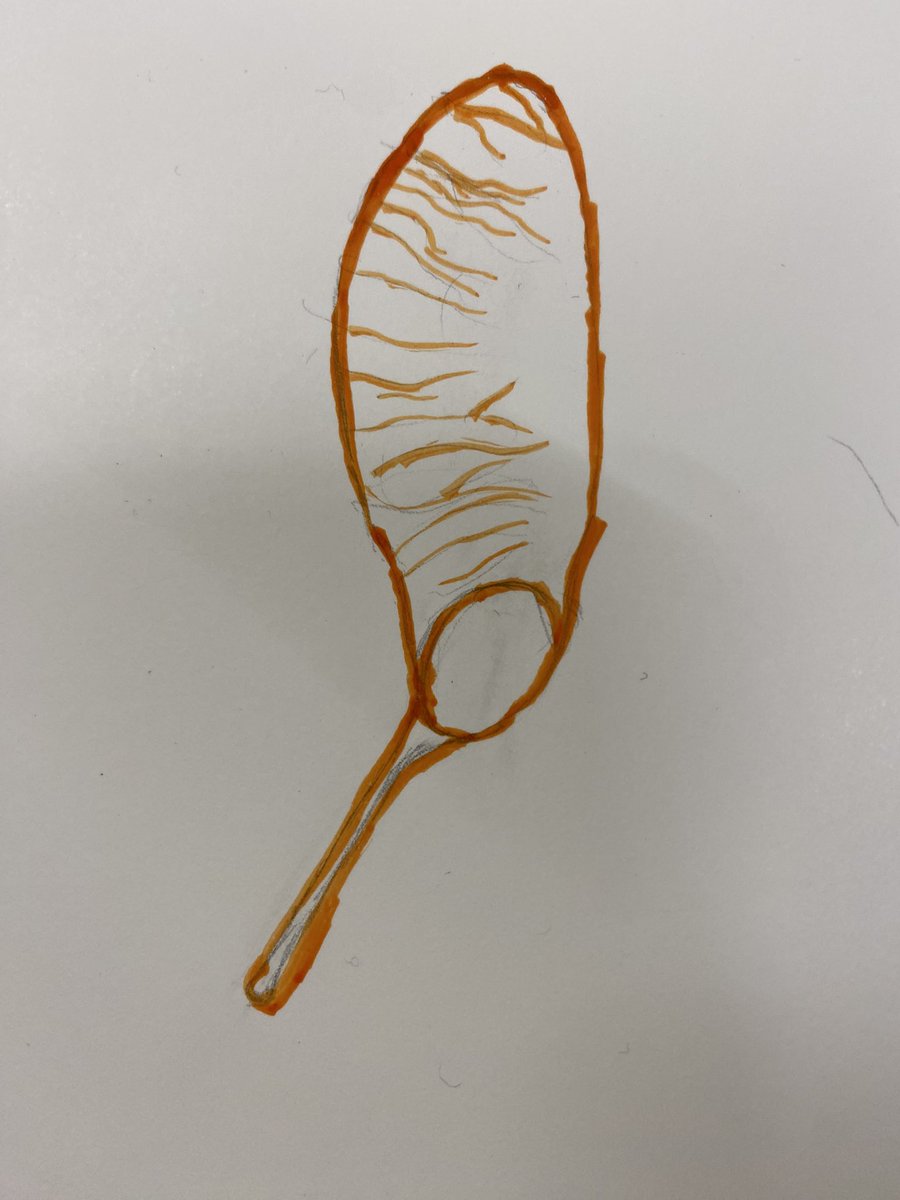 art_educ's tweet photo. Els joves de segon de l’ESO estan fent observació activa de la natura… ja que per a la SOStenibilitat s’ha d’entrenar la mirada. Educar des del respecte per mirar amb ulls oberts;desperta la capacitat per entendre el món des de les coses més simples #educacióArtistica #sosnatura https://t.co/FLX8irRw4d