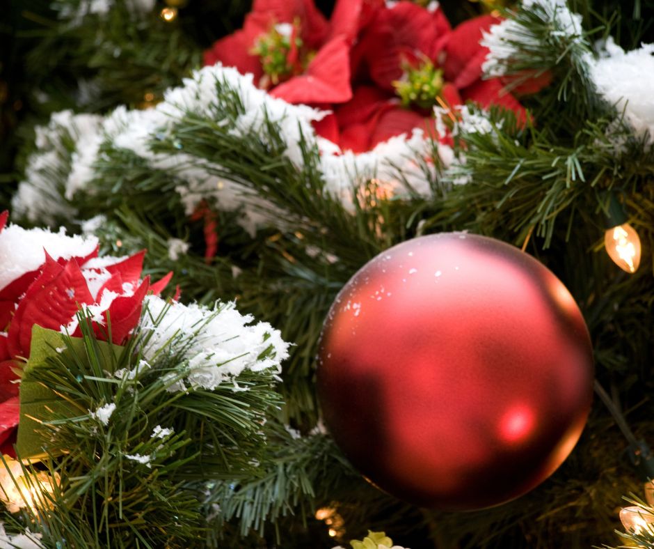WildberryLodge1's tweet photo. Christmas at the Biltmore Estate (“America’s Largest Home”) calls for over 60 hand-decorated trees, including a fresh, 35-foot Frasier fir. Over 13,000 ornaments are used–doesn’t that sound like something you would just LOVE to see?
https://t.co/oSlXQ6xJKi https://t.co/vMBeyVNL8k