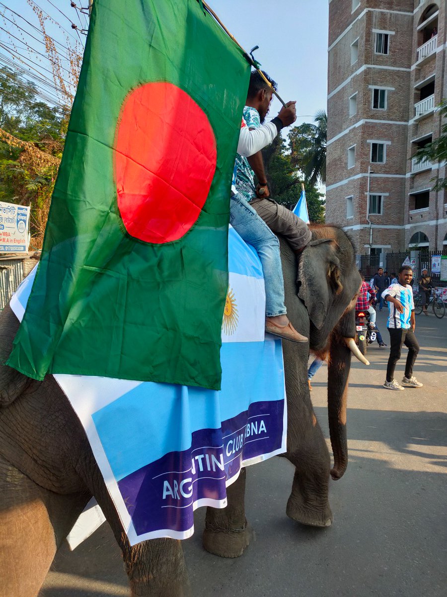 LigaAFA_Eng's tweet photo. Our friend🐘😂

🇦🇷🇧🇩 https://t.co/bxYcevgypa